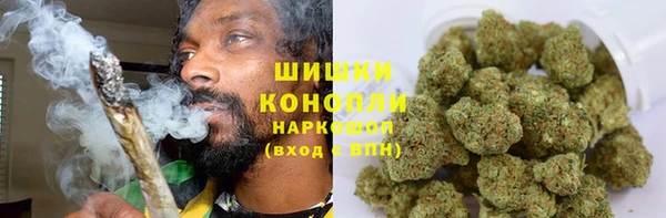 сатива Армянск