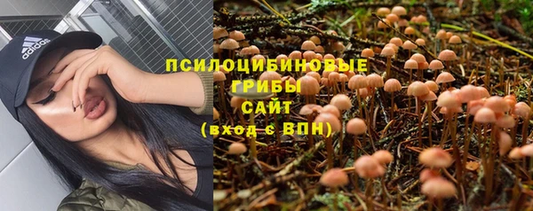 крисы Арсеньев