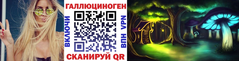 купить  сайты  Нурлат  Псилоцибиновые грибы Psilocybe 